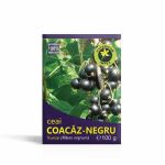 Ceai coacaz negru frunze 100 g