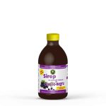 Sirop de Coacaz negru cu indulcitor Stevia rebaudiana 250 ml